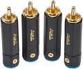 Aura RCA-P613