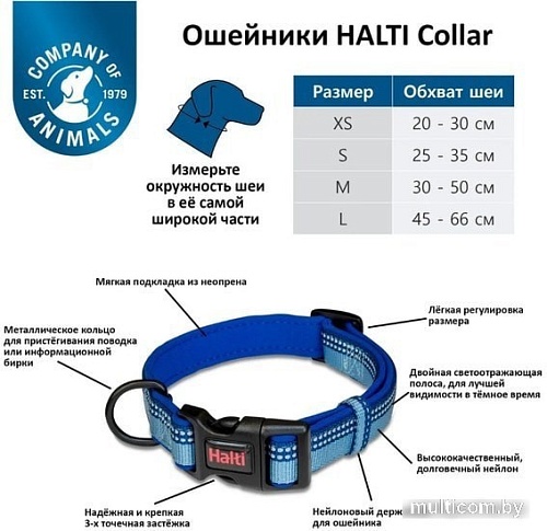 Ошейник Halti Collar S (голубой)
