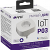 Розетка Hiper IOT P03
