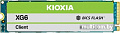 SSD Kioxia XG6 1TB KXG60ZNV1T02