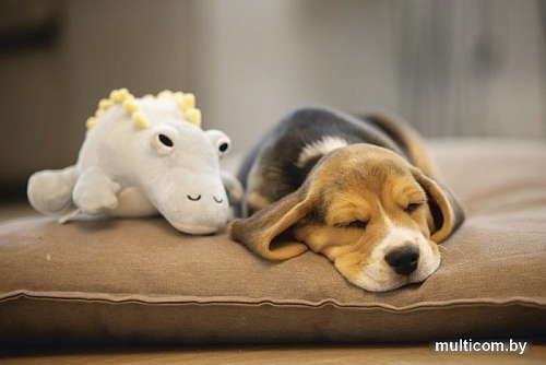 Игрушка для собак Beeztees Puppy Dinosaurus Vince 619140