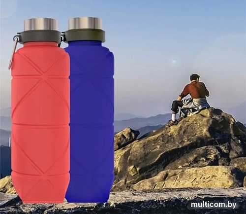 Бутылка для воды Coyote 010800004C 700мл (синий)