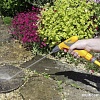 Hozelock Jet Spray Plus 2682P0000