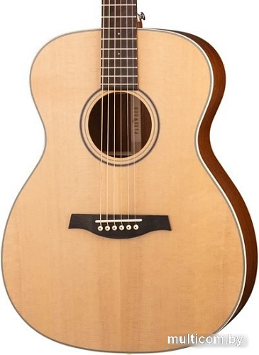 Акустическая гитара Parkwood S22-GT