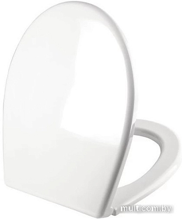 Сиденье для унитаза IDDIS Optima Home 004PPS3i31
