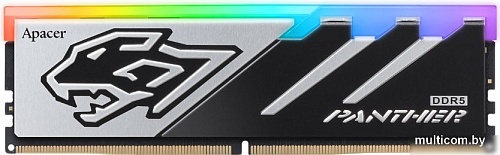 Оперативная память Apacer Panther RGB 32ГБ DDR5 6000 МГц AH5U32G60C6229BAA-1