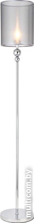 Evoluce Pazione SLE107105-01