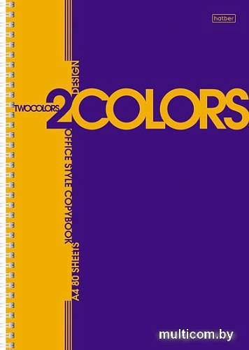 Общая тетрадь Hatber 2 colors 80Т4В1гр (80 л)