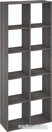 Стеллаж Кортекс-мебель Дельта-10 км.02539 71x175 (береза)