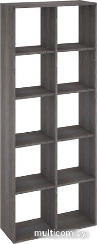Стеллаж Кортекс-мебель Дельта-10 км.02539 71x175 (береза)