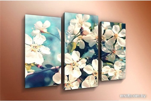 Модульная картина Arthata m-000506 120x80