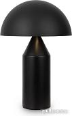 Настольная лампа Freya Eleon FR5218TL-02B1