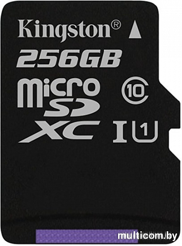 Карта памяти Kingston Canvas Select SDCS/256GBSP microSDXC 256GB