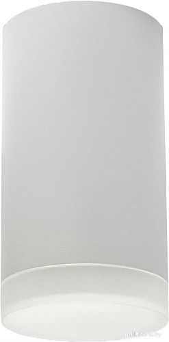 Спот TruEnergy 21302