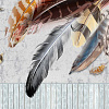 Фотообои Citydecor Перья 300x254