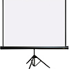 Проекционный экран PL Magna TRM-NTSC-100D