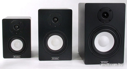 Студийный монитор AxelVox PM-5A