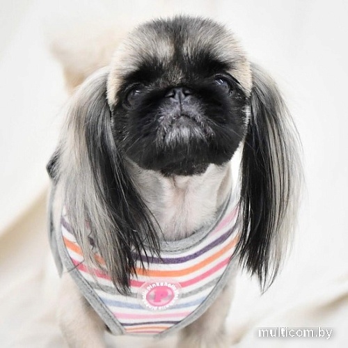 Шлейка Pinkaholic Effie NAUA-HA7629-GY-L (серый)