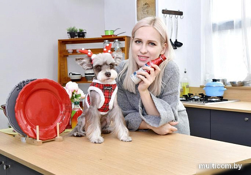 Шлейка Puppia Blitzen-B PAQD-AH1470-CR-M (красный)