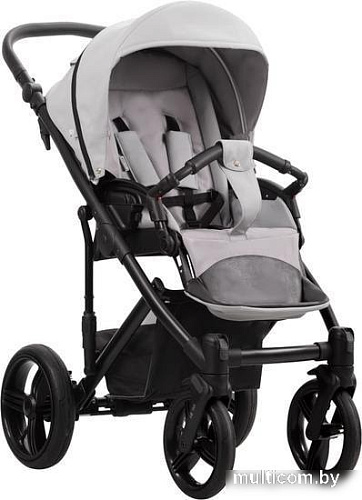 Универсальная коляска BEBETTO Magnum Prima 2020 (2 в 1, 02, черная рама)