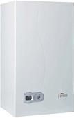 Отопительный котел Ferroli Divatech D F32
