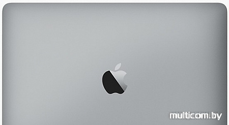 Ноутбук Apple MacBook (2017 год) [MNYF2]