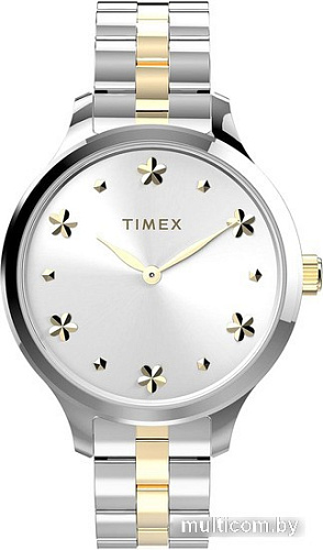 Наручные часы Timex Peyton TW2V23500
