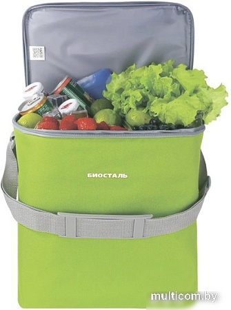 Термосумка BIOSTAL Кантри TCD-G 20л (зеленый лайм)