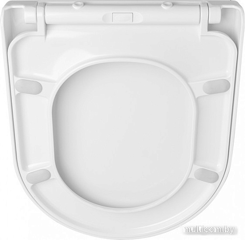 Сиденье для унитаза Quarter Bath SCD Slim 30SCD.03.02.03.02.02 (белый)