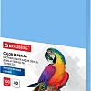 Офисная бумага BRAUBERG А4 80 г/м2 100 л 112453 (синий)
