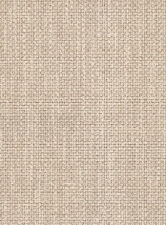 Виниловые обои Гомельобои Холст 13ВФ9К к-62 (на флизелине)