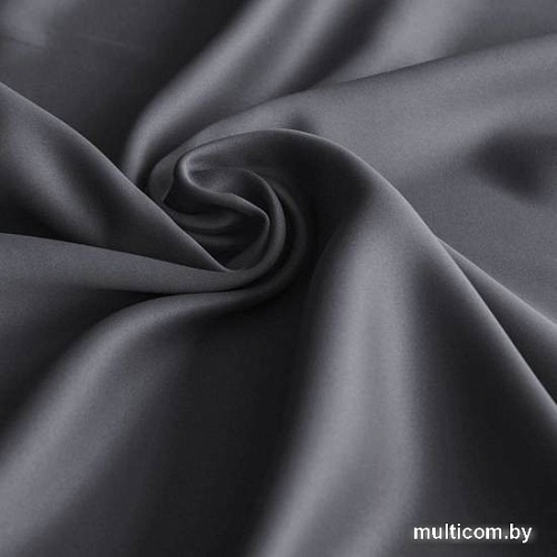 Комплект штор Pasionaria Блэкаут 340x240 с подхватами (темно-серый)