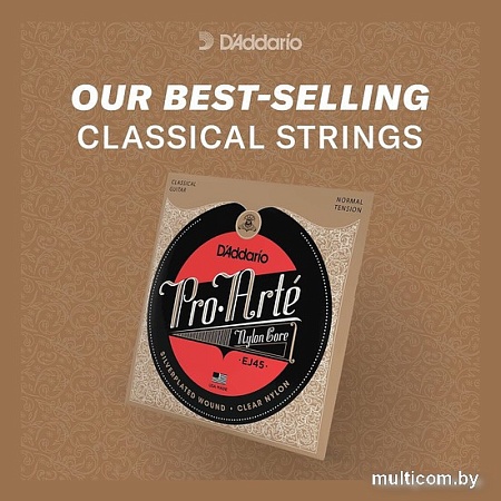 Струны для гитары D'Addario EJ45