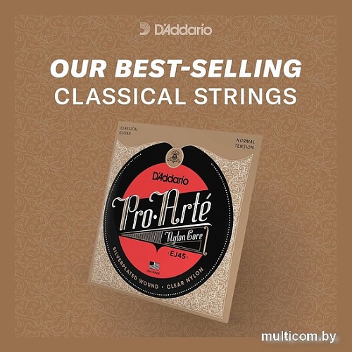 Струны для гитары D'Addario EJ45