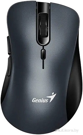 Мышь Genius Ergo 8100S (серый)