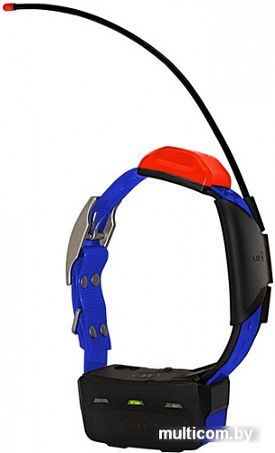 Портативный GPS-трекер Garmin Ошейник T5