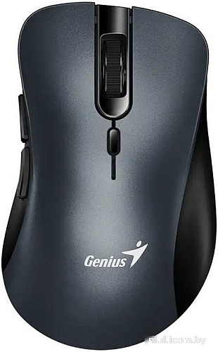 Мышь Genius Ergo 8100S (серый)