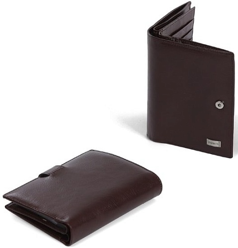 Кошелек Fabretti 53001V-12 (коричневый)