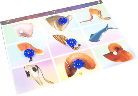 Развивающая игра Корвет Логический экран 430715