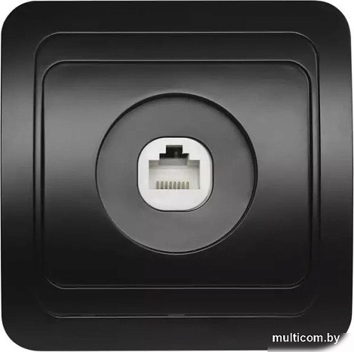 Розетка компьютерная SmartBuy SBE-02b-S1-RJ