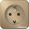 Розетка Schneider Electric Blanca BLNRA110114