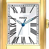 Наручные часы Fossil FS6011