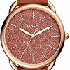 Наручные часы Fossil Tailor ES4420