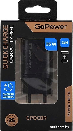 Сетевое зарядное GoPower 00-00028403