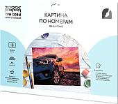 Картина по номерам Три совы Дрифт на закате КК_44055