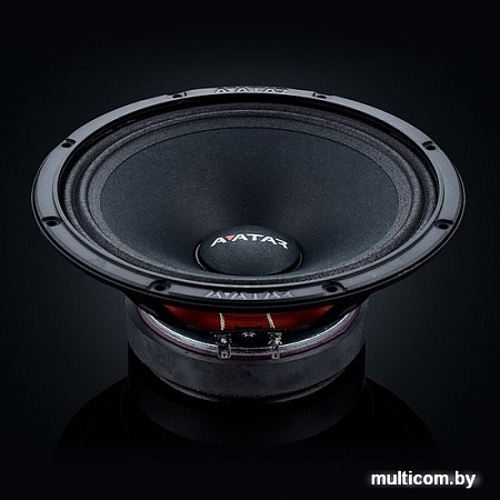 Среднечастотная АС Avatar MTU-61LE