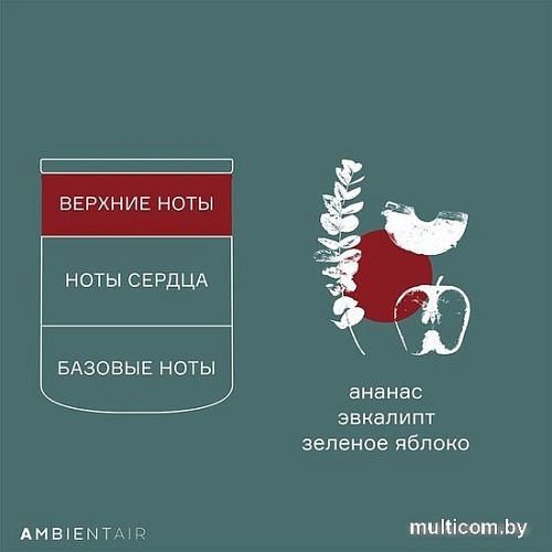 Ароматизированая свеча Ambientair Gifting. Корица и яблоко VV401MCTO