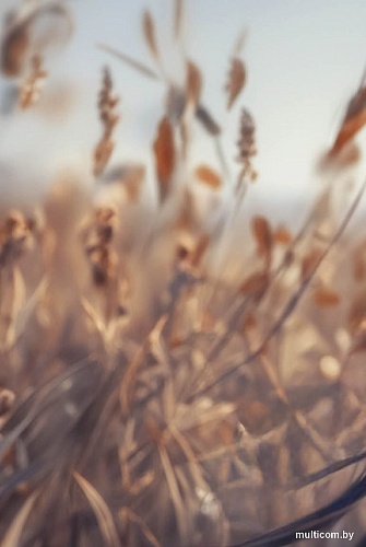 Обложка для паспорта Эксмо. Маньхуа. Лис 9785041997885