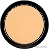 Тональная пудра Paese Illuminating Covering Powder (тон 1C)