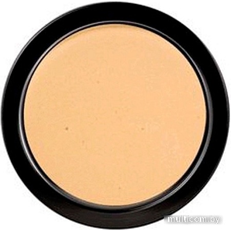 Тональная пудра Paese Illuminating Covering Powder (тон 1C)